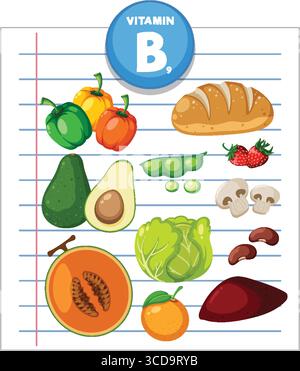 Illustrazione vettoriale colorata di fonti di cibo per la vitamina B9, tra cui verdura, frutta, pane e legumi su uno sfondo di carta rivestito con un design piatto Illustrazione Vettoriale