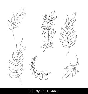 Un ramo con delicate foglie sottili, disegna in uno stile semplice. Illustrazione vettoriale. I rami di un olivo e di un salice sono isolati sul bianco Illustrazione Vettoriale