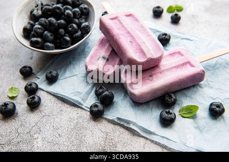Gelato a base di yogurt fatto in casa e mirtilli biologici freschi. Foto Stock