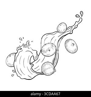 Bacche di acai su succose spruzzate nell'illustrazione vettoriale del contorno isolata su bianco. Frutti di bosco tropicali freschi, succose onde disegnate a mano in bianco nero. Supercibo Illustrazione Vettoriale