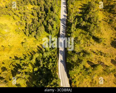 Veduta aerea di una strada tortuosa che attraversa fitte e vibranti foreste dove il sole getta lunghe ombre, creando un contrasto sorprendente tra luce e buio, Utvik, Vestland, Norvegia. Foto Stock