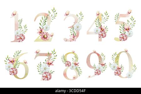 Serie di numeri uno, due, tre, quattro, cinque, sei, sette, otto, nove, zero con fiori e foglie, farfalla. Acquerello gerbera, camomilla, echinacea Foto Stock