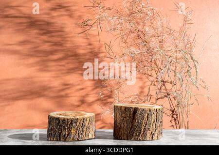 Due podi rotondi in legno su sfondo marrone beige per pubblicizzare prodotti cosmetici e cura del corpo. Fiori secchi e bellissime ombre Foto Stock