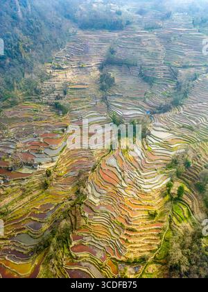 Vista aerea e mattutina dell'acqua prima di piantare il riso in risaie terrazzate con case di un villaggio sulla collina di Yuanyang, Yunnan, Cina Foto Stock