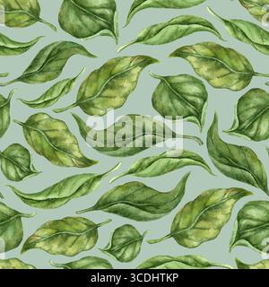 Sfondo ad acquerello senza cuciture di foglie verdi di limone su realistica pittura a mano botanica verde chiaro Foto Stock
