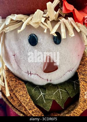 Il volto di una decorazione maschile di spaventapasseri per l'autunno Foto Stock