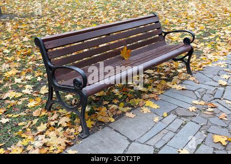Una panchina di legno sul vicolo del parco cosparsa di foglie gialle. Settembre Foto Stock