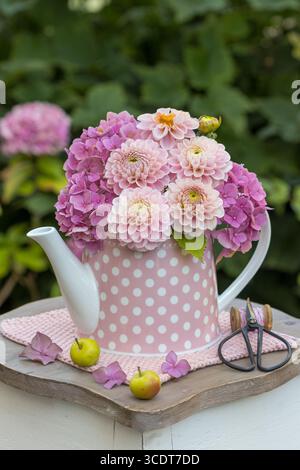 bouquet di fiori rosa di dahlia e ortensie in fiore in una lattina da tè in giardino Foto Stock
