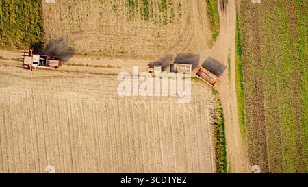 Vista dall'alto, mietitrebbia sopraelevata, macchina da raccolta che si sposta tra campi agricoli su percorsi rurali, percorrendo strade polverose. Trattore wi Foto Stock