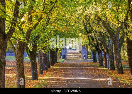 Passaggio pedonale per un cancello in un cimitero in autunno Foto Stock
