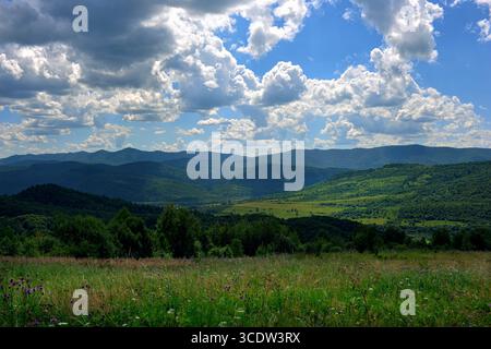 Vista dall'alto delle montagne con paesaggio verde scuro della foresta di conifere e prati nelle giornate di sole. Concetto di viaggio.stile HDR. Foto Stock