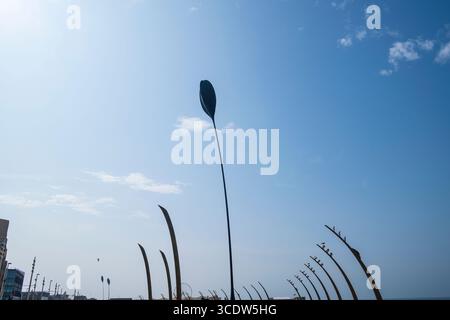 Blackpool Seafront Sails - 'Dune Grass' Lancashire, Regno Unito Foto Stock