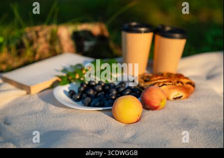 Piatto di mirtilli freschi, pesche mature, bicchieri, un libro e dolci preparati su una coperta beige, creando un'accogliente natura morta estiva all'aperto Foto Stock