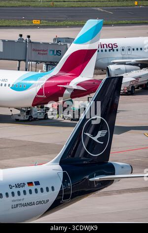 Flughafen Düsseldorf, Lufthansa City Airbus A319 Flieger auf dem Weg zum Gate, Eurowings Flieger AM Terminal A, Leitwerke, Logo, NRW, Deutschland, Flughafen DUS *** Aeroporto di Düsseldorf, Lufthansa City Airbus A319 sulla strada per il gate, Eurowings Aircraft al Terminal A, unità coda, logo, NRW, Germania, aeroporto DUS Foto Stock