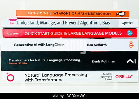 Raccolta di libri di intelligenza artificiale che coprono grandi modelli linguistici, trasformatori, elaborazione del linguaggio naturale e bias algoritmico Foto Stock