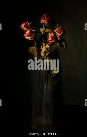 Rose asciutte su sfondo scuro. Fiori appassiti. Foto Stock