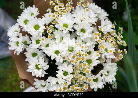Un bouquet splendidamente organizzato caratterizzato da vivaci margherite bianche con delicati centri verdi, completati da piccoli e delicati fiori. perfetto per le celebrità Foto Stock