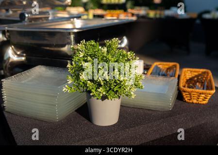 Vista ravvicinata di un tavolo a buffet splendidamente organizzato con un pezzo centrale di piante in vaso, piatti di vetro e utensili in un cestino di vimini. ideale per Foto Stock