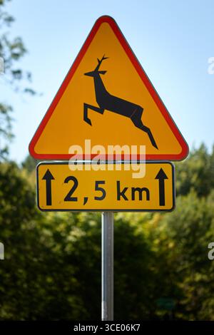 Segnaletica stradale triangolare per avvisare i cervi che attraversano per i successivi 2,5 km Indica la possibile fauna selvatica sulla strada, ricordando ai conducenti di rallentare un Foto Stock