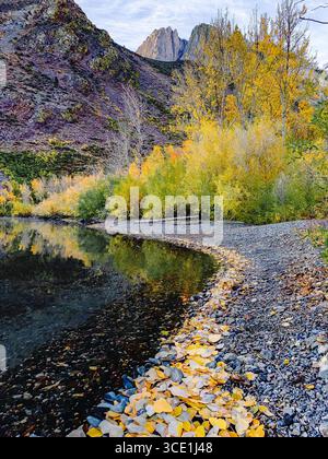 La riva lontana del lago Convict durante l'autunno colora la Sierra orientale. Foto Stock