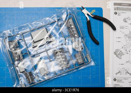 Scala di polistirene di parti del modello in un sacchetto di plastica sul banco da lavoro, STATI UNITI D'AMERICA Foto Stock