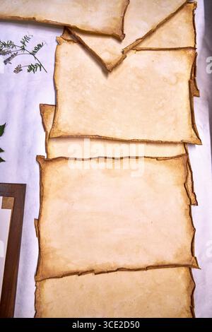 Un progetto erbario creativo che mostra l'intero processo di conservazione e sistemazione dei fiori pressati su carta fatta a mano, dallo stoccaggio in una scatola di legno ad un Foto Stock