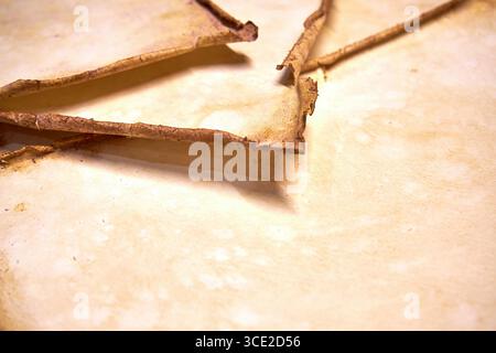 Un progetto erbario creativo che mostra l'intero processo di conservazione e sistemazione dei fiori pressati su carta fatta a mano, dallo stoccaggio in una scatola di legno ad un Foto Stock