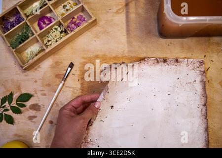 Un progetto erbario creativo che mostra l'intero processo di conservazione e sistemazione dei fiori pressati su carta fatta a mano, dallo stoccaggio in una scatola di legno ad un Foto Stock