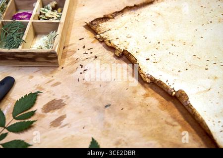 Un progetto erbario creativo che mostra l'intero processo di conservazione e sistemazione dei fiori pressati su carta fatta a mano, dallo stoccaggio in una scatola di legno ad un Foto Stock