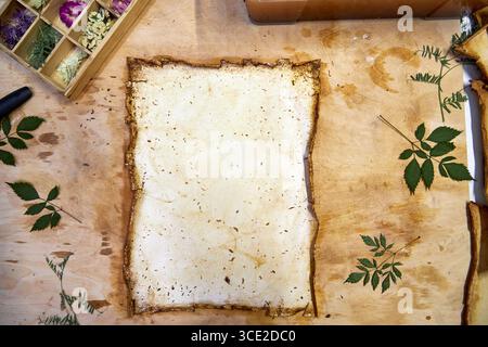 Un progetto erbario creativo che mostra l'intero processo di conservazione e sistemazione dei fiori pressati su carta fatta a mano, dallo stoccaggio in una scatola di legno ad un Foto Stock