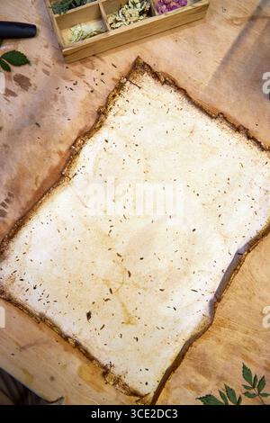 Un progetto erbario creativo che mostra l'intero processo di conservazione e sistemazione dei fiori pressati su carta fatta a mano, dallo stoccaggio in una scatola di legno ad un Foto Stock