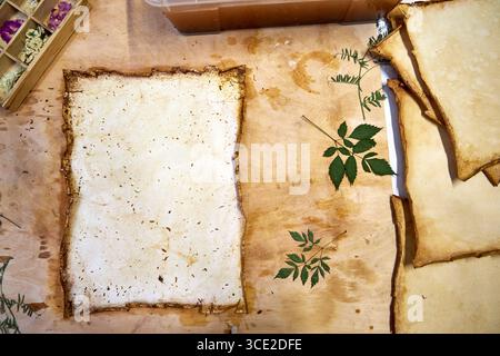 Un progetto erbario creativo che mostra l'intero processo di conservazione e sistemazione dei fiori pressati su carta fatta a mano, dallo stoccaggio in una scatola di legno ad un Foto Stock