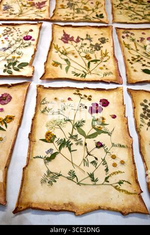 Un progetto erbario creativo che mostra l'intero processo di conservazione e sistemazione dei fiori pressati su carta fatta a mano, dallo stoccaggio in una scatola di legno ad un Foto Stock