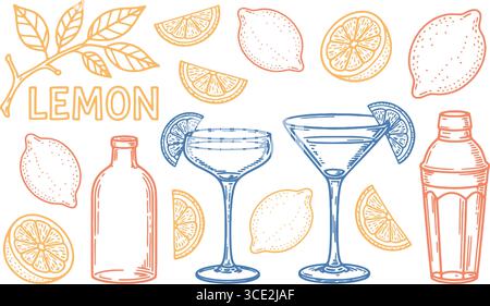 lemon sketch – frutta intera, fette, cocktail, shaker, bottiglia, testo artistico Illustrazione Vettoriale