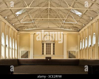Ippica, Royal Mews, Buckingham Palace, Londra, Inghilterra. Foto Stock