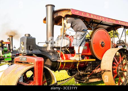 Stithians, Cornovaglia, Regno Unito. 15 agosto 2025. Grandi folle partecipano al Great Steam Engine Rally dell'Inghilterra occidentale, 70th Anniversary, che si svolge fino a domenica sera. È il più antico e più grande rally di motori a vapore in Cornovaglia, con oltre 100 mostre di vapore, un vecchio salone dei divertimenti, artigianato, stand commerciali, auto d'epoca, veicoli, trattori e motociclette. Crediti: Keith Larby/Alamy Live News Foto Stock
