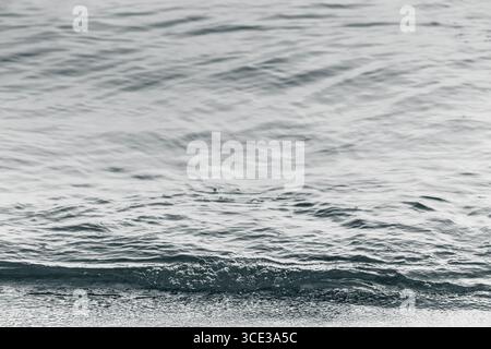 Dolci onde oceaniche che si infrangono sulla costa in bianco e nero Foto Stock