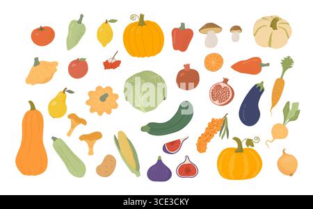 Set di cartoni animati di frutta e verdura biologica su sfondo bianco. Raccolta autunnale di zucca, zucchine, limone, pera, granato, fichi, frutti di bosco, pepe, Illustrazione Vettoriale