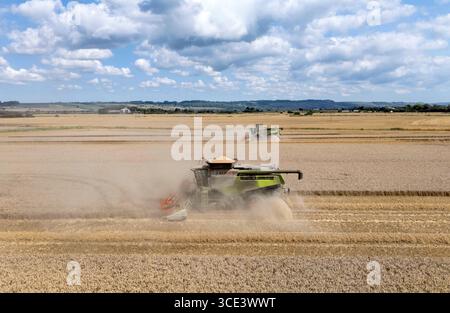 Una mietitrebbiatrice raccoglie le colture su Romney Marsh durante il clima caldo vicino ad Ashford nel Kent. Data foto: Venerdì 15 agosto 2025. Foto Stock