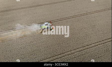 Una mietitrebbiatrice raccoglie le colture su Romney Marsh durante il clima caldo vicino ad Ashford nel Kent. Data foto: Venerdì 15 agosto 2025. Foto Stock