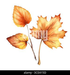 Foglie colorate autunnali, illustrazione ad acquerello disegnata a mano, isolata su sfondo bianco Foto Stock