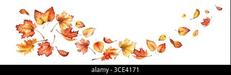 Foglie colorate autunnali. Illustrazione ad acquerello disegnata a mano isolata su sfondo bianco Foto Stock