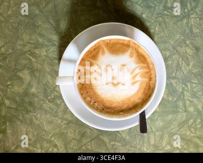 Vista dall'alto di una tazza di caffè con latte art raffigurante un volto di gatto su un tavolo verde testurizzato malesia Foto Stock