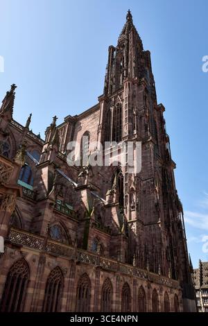 Cattedrale di Notre-Dame. Strasburgo, Alsazia. Francia. Foto Stock