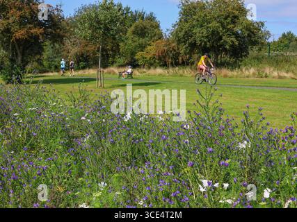 Lurgan Park, Lurgan, Contea di Armagh, Irlanda del Nord, Regno Unito, 15 agosto 2025. Meteo nel Regno Unito: Un pomeriggio caldo e soleggiato nel Lurgan Park con temperature a metà degli anni venti. Crediti: CAZIMB/Alamy Live News. Foto Stock