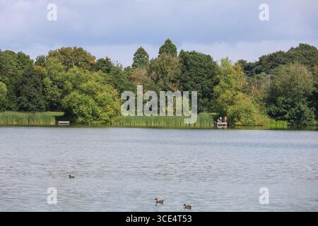 Lurgan Park, Lurgan, Contea di Armagh, Irlanda del Nord, Regno Unito, 15 agosto 2025. Meteo nel Regno Unito: Un pomeriggio caldo e soleggiato nel Lurgan Park con temperature a metà degli anni venti. Crediti: CAZIMB/Alamy Live News. Foto Stock