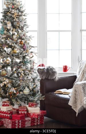 Carino gatto grigio nel cappello di Babbo Natale seduto su una sedia accanto a una grande finestra luminosa accanto all'albero di Natale con regali Foto Stock