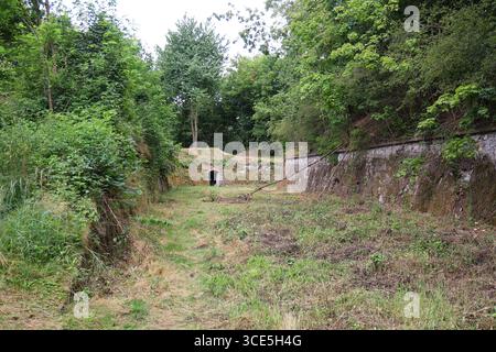 Fossato ricoperto e ingresso al tunnel nella storica fortezza di Owcza Góra a Kłodzko, circondato da una fitta vegetazione Foto Stock