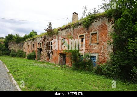 Facciata di caserme in mattoni rossi nella fortezza di Owcza Góra a Kłodzko ricoperta di vegetazione e mostra segni di degrado Foto Stock