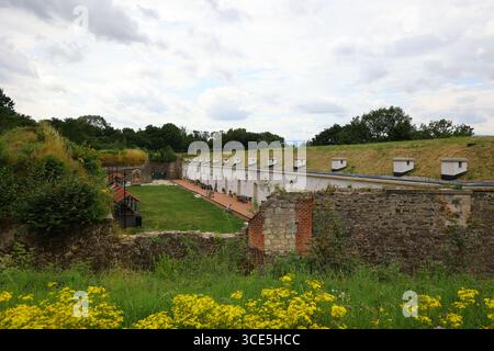 Vista panoramica sul cortile della fortezza di Owcza Góra con casematte bianche restaurate e argini erbosi a Kłodzko, Polonia Foto Stock